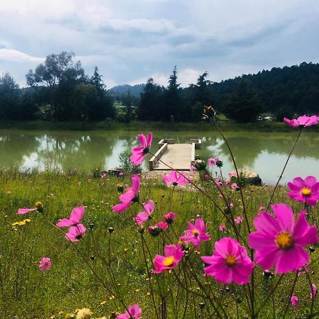 Cabanas Tapalpa Sierra Del Tecuan, Cabana Lince Kültér fotó