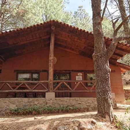 Cabanas Tapalpa Sierra Del Tecuan, Cabana Lince Kültér fotó